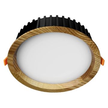 APLED - LED Podhľadové svietidlo RONDO WOODLINE LED/12W/230V 4000K pr. 20 cm jaseň masív