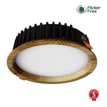 APLED - LED Podhľadové svietidlo RONDO WOODLINE LED/12W/230V 3000K pr. 20 cm jaseň masív