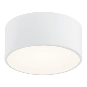 Argon 3885 - LED Stropné svietidlo VICHY LED/13,5W/230V biela