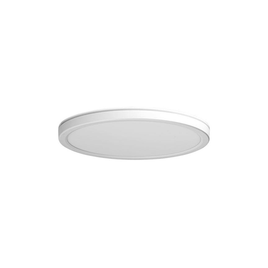 Azzardo AZ5365 -LED Stmievateľné kúpeľňové svietidlo PANKA LED/24W/230V IP40 biela