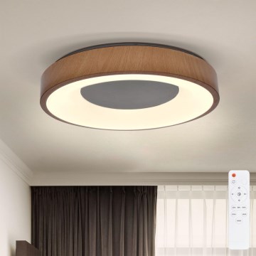 Brilagi - LED Stmievateľné stropné svietidlo DORIA LED/48W/230V 3000-6500K pr. 39 cm + diaľkové ovládanie