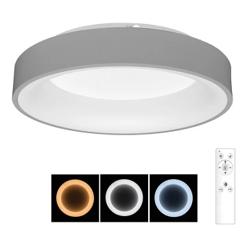 Brilagi - LED Stmievateľné stropné svietidlo FALCON LED/40W/230V 3000-6500K pr. 45 šedá + diaľkové ovládanie