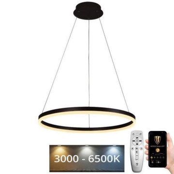 Brilagi - LED Stmievateľný luster na lanku CIRCLE LED/42W/230V 3000-6500K + diaľkové ovládanie