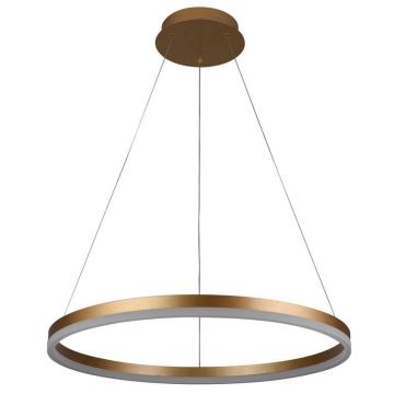 Brilagi - LED Stmievateľný luster na lanku CIRCLE LED/42W/230V 3000-6500K + diaľkové ovládanie