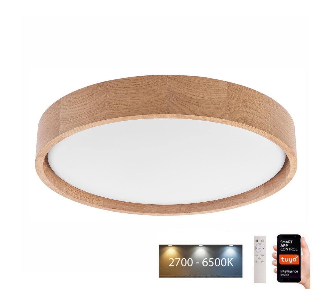 Brilagi Brilagi - LED Stropné svietidlo MANAROLA SMART LED/24W/230V + DO Tuya 