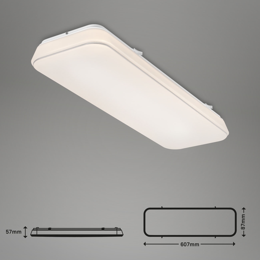 Briloner 3040-016 - LED Stmievateľné stropné svietidlo RUPA LED/24W/230V