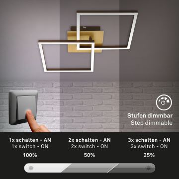 Briloner 3210-017 - LED Stmievateľné stropné svietidlo FRAME 2xLED/11W/230V zlatá