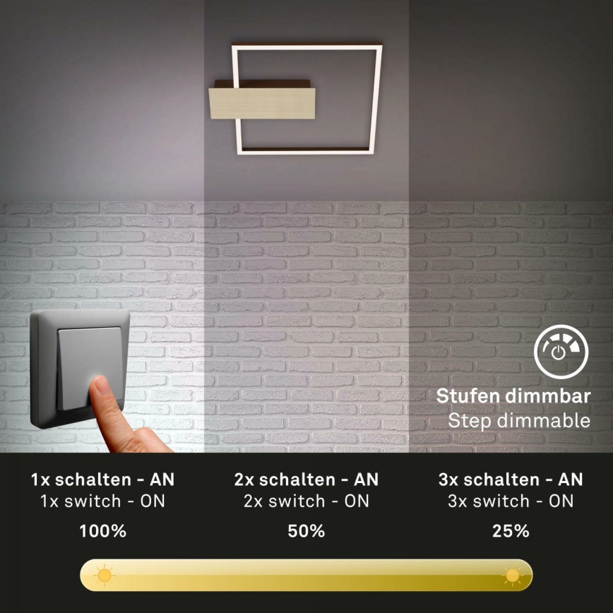 Briloner 3544-017 - LED Stmievateľné stropné svietidlo NICO LED/12W/230V