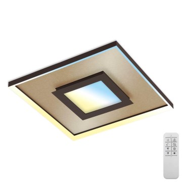 Briloner 3641-017 - LED Stmievateľné stropné svietidlo FRAME LED/30W/230V 2700-6500K zlatá + diaľkové ovládanie