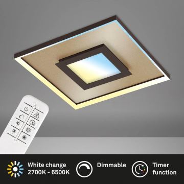 Briloner 3641-017 - LED Stmievateľné stropné svietidlo FRAME LED/30W/230V 2700-6500K zlatá + diaľkové ovládanie