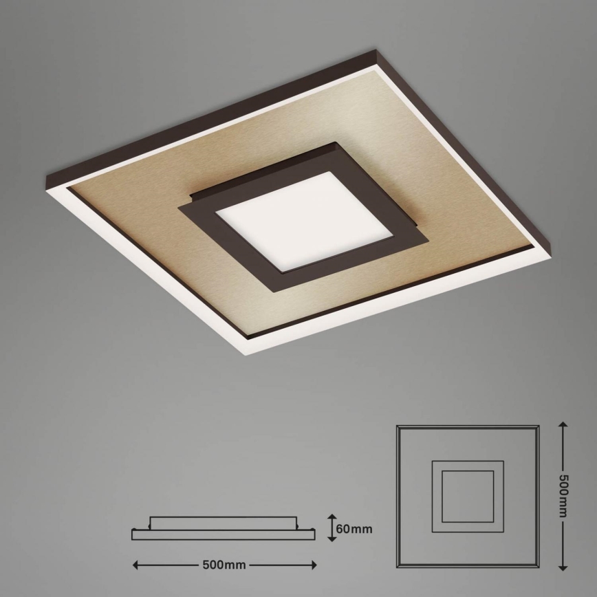 Briloner 3641-017 - LED Stmievateľné stropné svietidlo FRAME LED/30W/230V 2700-6500K zlatá + diaľkové ovládanie