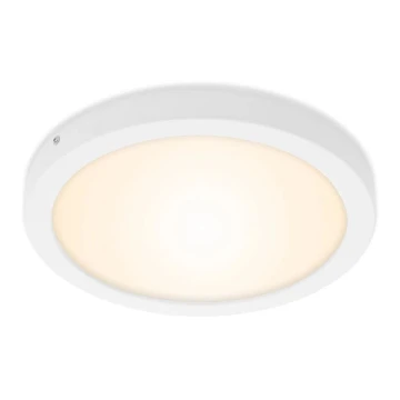 Briloner 7141-016 - LED Stropné svietidlo FIRE LED/21W/230V