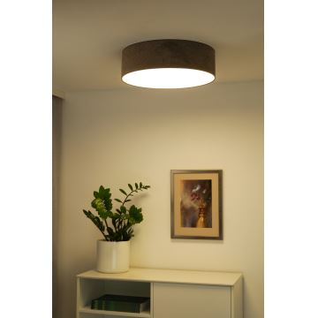 Duolla - LED Stropné svietidlo CORTINA LED/26W/230V pr. 30 cm 4000K hnedá