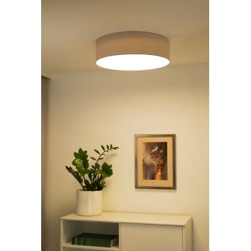 Duolla - LED Stropné svietidlo CORTINA LED/26W/230V pr. 45 cm šedá