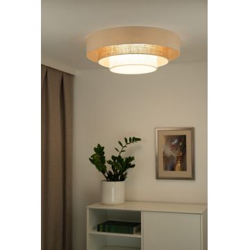 Duolla - LED Stropné svietidlo LUNETA LED/26W/230V pr. 60 cm 4000K ratan/béžová/hnedá