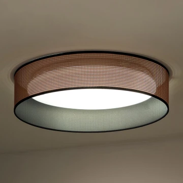 Duolla - LED Stropné svietidlo ROLLER LED/24W/230V medená/čierna