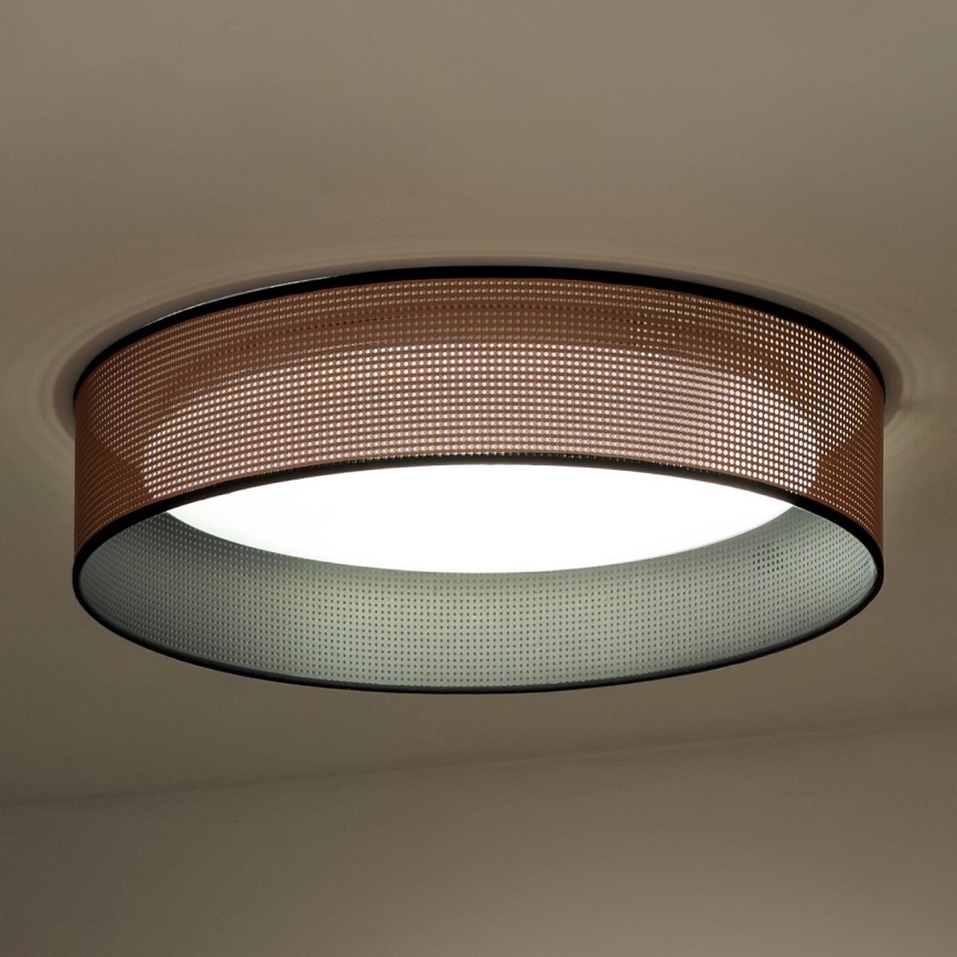 Duolla - LED Stropné svietidlo ROLLER LED/24W/230V medená/čierna