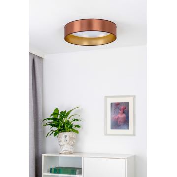 Duolla - LED Stropné svietidlo ROLLER LED/24W/230V medená/zlatá