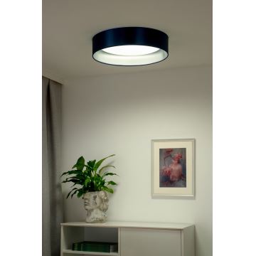 Duolla - LED Stropné svietidlo ROLLER LED/24W/230V modrá/strieborná