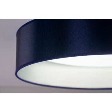 Duolla - LED Stropné svietidlo ROLLER LED/24W/230V modrá/strieborná