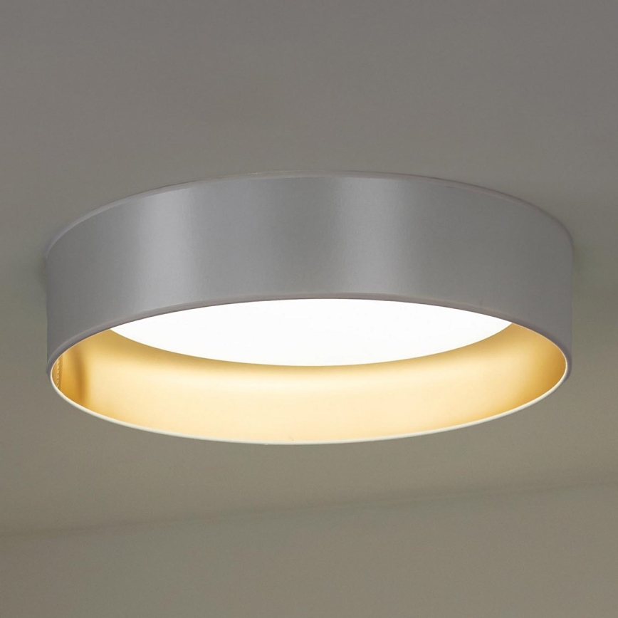 Duolla - LED Stropné svietidlo ROLLER LED/24W/230V strieborná/zlatá