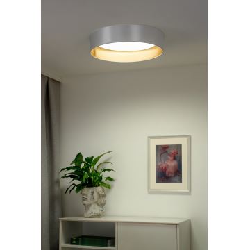 Duolla - LED Stropné svietidlo ROLLER LED/24W/230V strieborná/zlatá