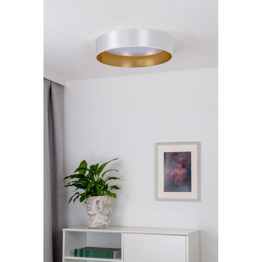 Duolla - LED Stropné svietidlo ROLLER LED/24W/230V strieborná/zlatá