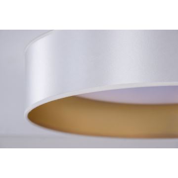 Duolla - LED Stropné svietidlo ROLLER LED/24W/230V strieborná/zlatá