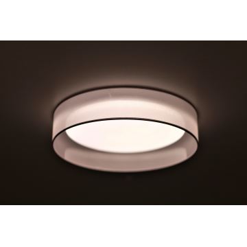Duolla - LED Stropné svietidlo ROLLER LED/24W/230V svetlo šedá