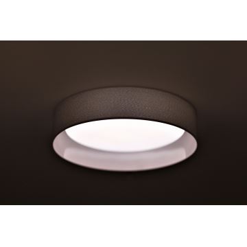 Duolla - LED Stropné svietidlo ROLLER LED/24W/230V svetlo šedá