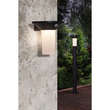 Eglo - LED Vonkajšia solárna lampa so senzorom 6xLED/0,03W/3,7V IP44