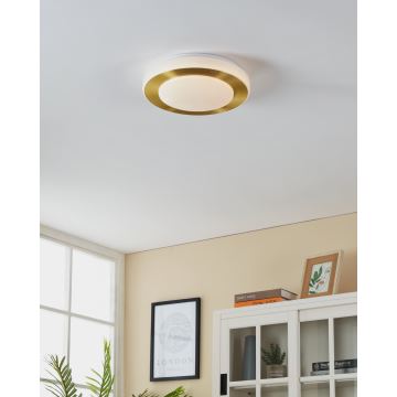 Eglo - LED Kúpeľňové stropné svietidlo LED/10,8W/230V IP44