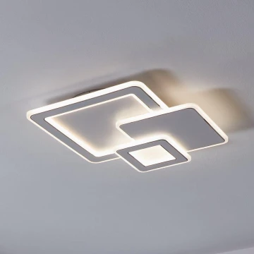 Eglo - LED Stropné svietidlo 3xLED/12W/230V