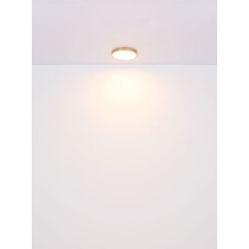 Globo - LED Stropné svietidlo LED/30W/230V pr. 45 cm