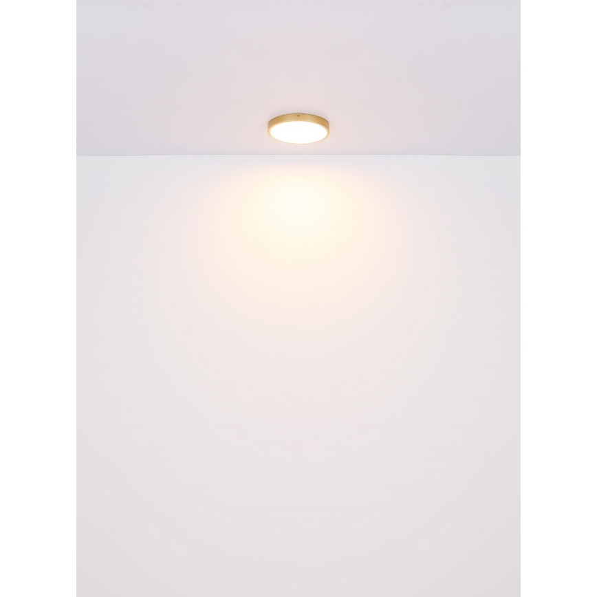 Globo - LED Stropné svietidlo LED/30W/230V pr. 45 cm