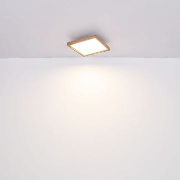 Globo - LED Stropné svietidlo LED/12W/230V 30 cm 2700/4500/6500K