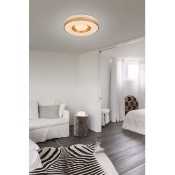 Globo - LED Stropné svietidlo LED/24W/230V