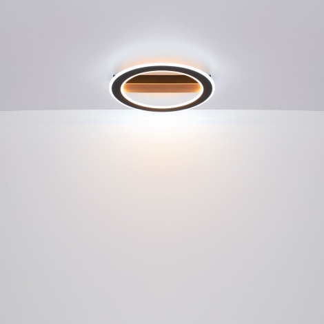 Globo - LED Prisadený luster LED/30W/230V okrúhly