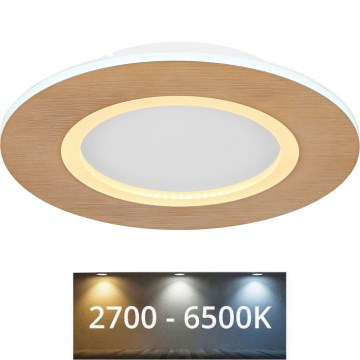 Globo - LED Stropné svietidlo LED/23W/230V 2700/6500K