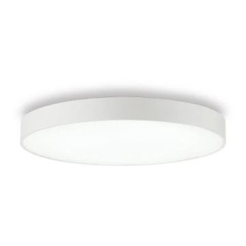 Ideal Lux - LED Stropné svietidlo HALO LED/44W/230V