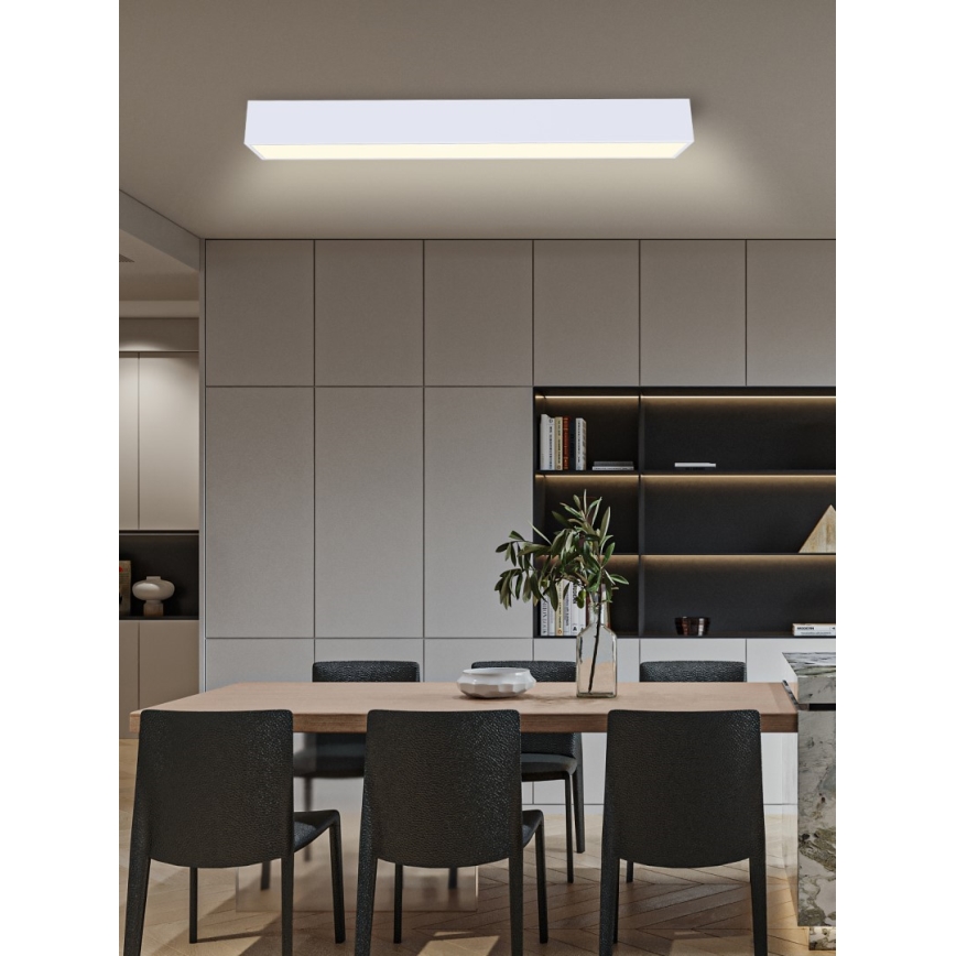 Immax NEO 07072-90 - LED Stmievateľné stropné svietidlo CANTO LED/50W/230V biela Tuya + diaľkové ovládanie