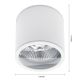 Kúpeľňové bodové svietidlo CHLOE AR111 1xGU10/15W/230V IP44 okrúhly biela