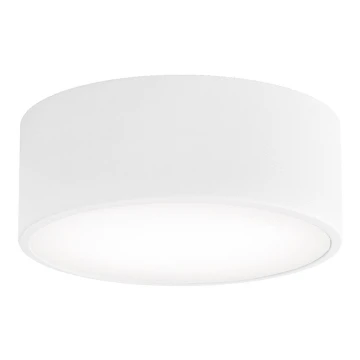 Kúpeľňové stropné svietidlo CLEO 1xE27/24W/230V pr. 20 cm biela IP54