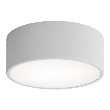 Kúpeľňové stropné svietidlo CLEO 1xE27/24W/230V pr. 20 cm šedá IP54