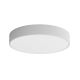 Kúpeľňové stropné svietidlo CLEO 4xE27/24W/230V pr. 50 cm šedá IP54