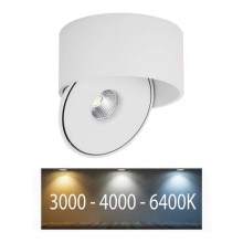 LED Flexibilné bodové svietidlo LED/20W/230V 3000/4000/6400K CRI 90 biela
