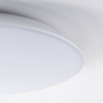 LED Kúpeľňové stropné svietidlo AVESTA LED/12W/230V 4000K IP54