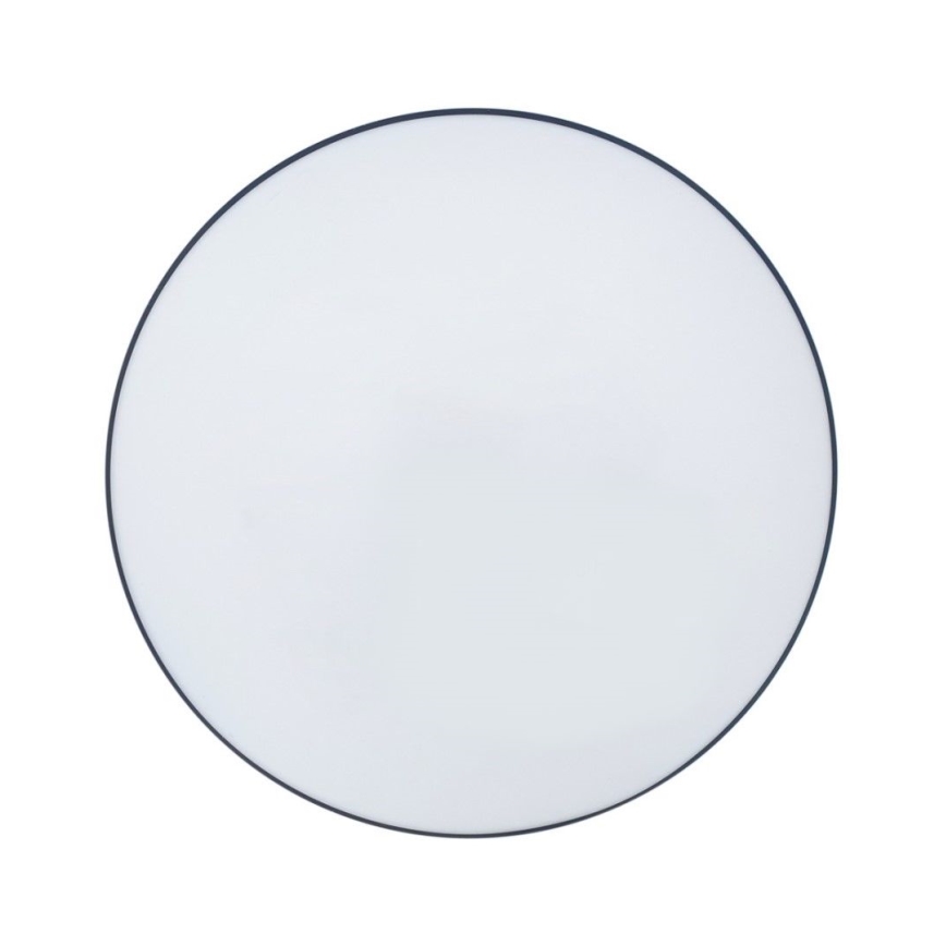 LED Kúpeľňové stropné svietidlo CIRCLE LED/12W/230V 4000K pr. 25 cm IP44 čierna