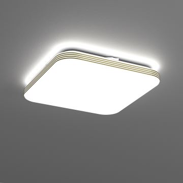 LED Kúpeľňové stropné svietidlo DABAR LED/17W/230V 4000K 33x33 cm IP44