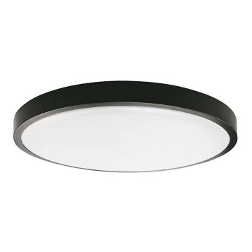 LED Kúpeľňové stropné svietidlo LED/18W/230V 6500K IP44 čierna